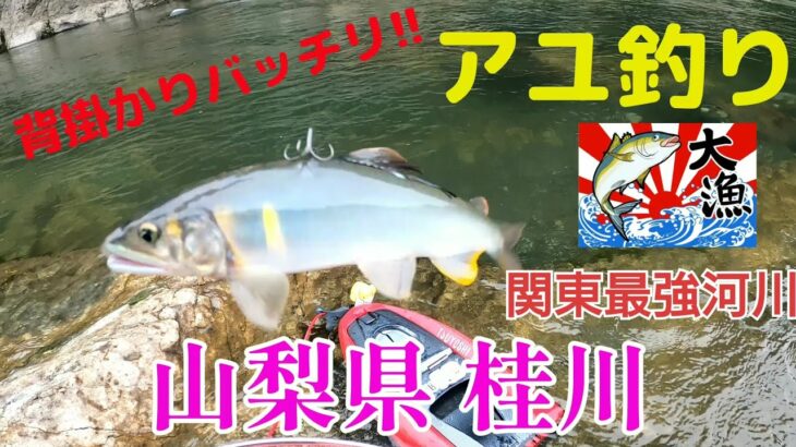 【鮎釣り】2026.6.6 関東最強河川の山梨県 桂川に釣行