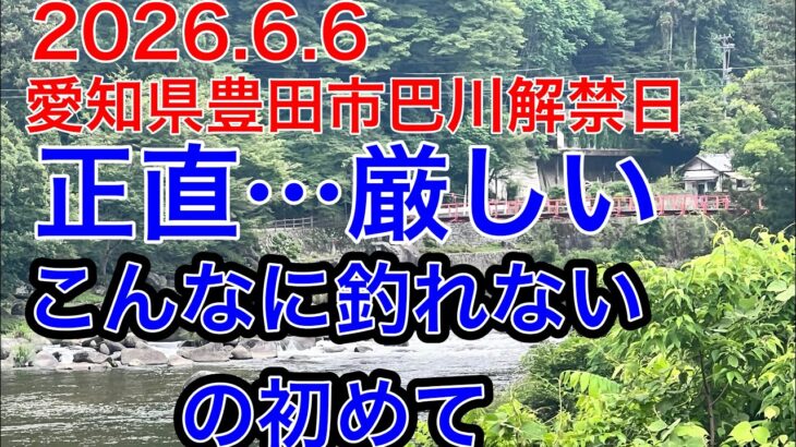 2026.6.6土曜愛知県豊田市巴川解禁日　こんなに釣れない解禁日は初めて…