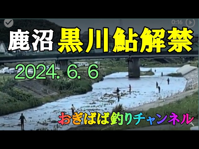 鹿沼、黒川鮎解禁はどうですか?、（2026.6.6）