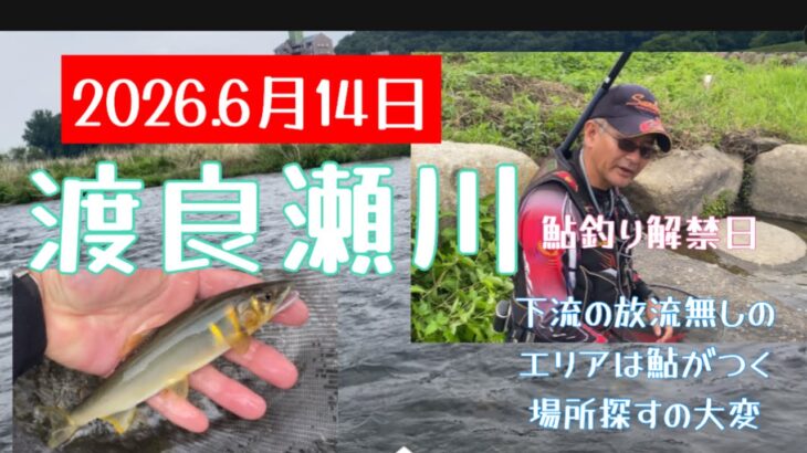 2026.6月14日渡良瀬川鮎釣り解禁日　#釣り #鮎釣り #サンライン #サンテック #渡良瀬川 #pr