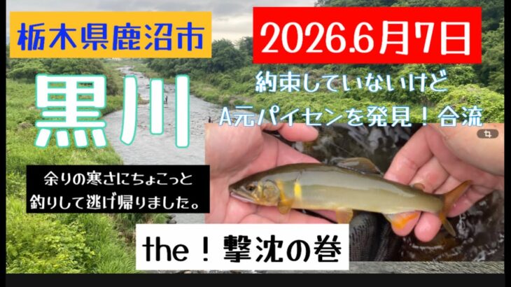 2026.6月7日.栃木県黒川釣行　#釣り #鮎釣り #サンライン #サンテック