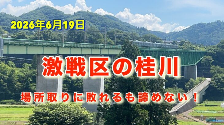 【桂川鮎釣り2026】今年はあまり釣れていないのに、釣り人の多い桂川。入りたいポイントに入れない中、なんとか18匹😂【無人販売所の夏野菜】