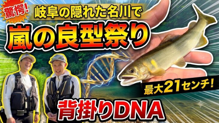 【2026鮎釣り】6.13 気になる！あの馬瀬川下流で良型連発！