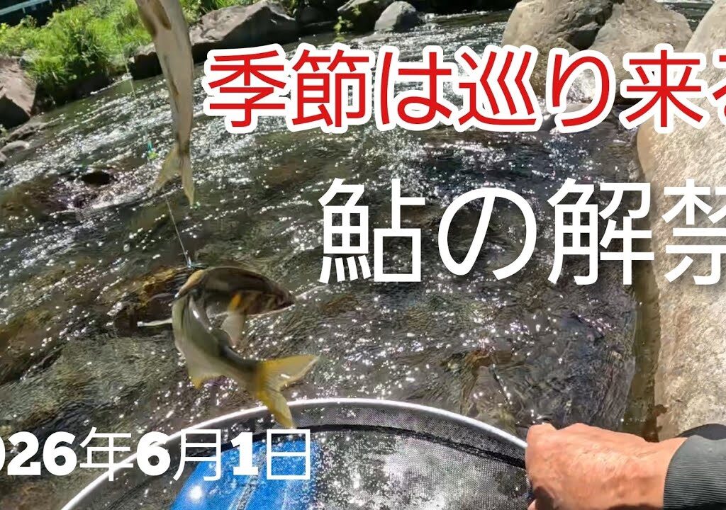 【鮎解禁】場所取りで絶望…その後まさかの入れ掛かり！  2026年6月1日