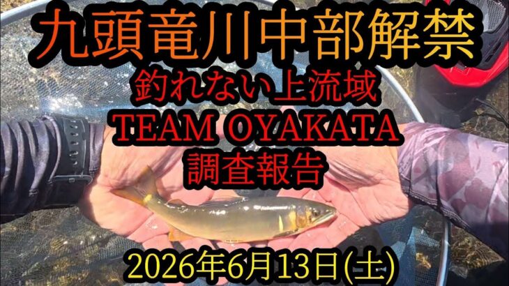 【九頭竜川中部解禁】釣れない上流域で調査報告　2026年6月13日(土)