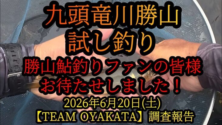 【九頭竜川勝山】試し釣り　勝山鮎釣りファンの皆様お待たせしました！2026年6月20日(土)