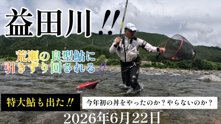 益田川‼️荒瀬の良型鮎に引きずり回される‼️特大鮎も出た‼️2026年6月22日