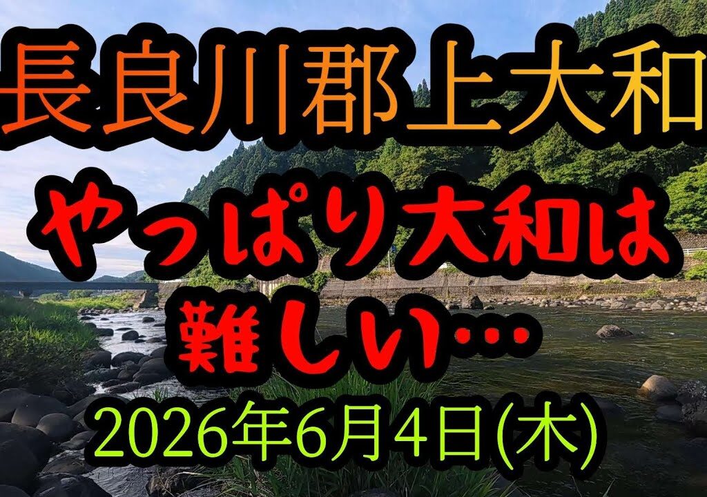 【長良川郡上大和】やっぱり大和は難しい…　2026年6月4日(木)