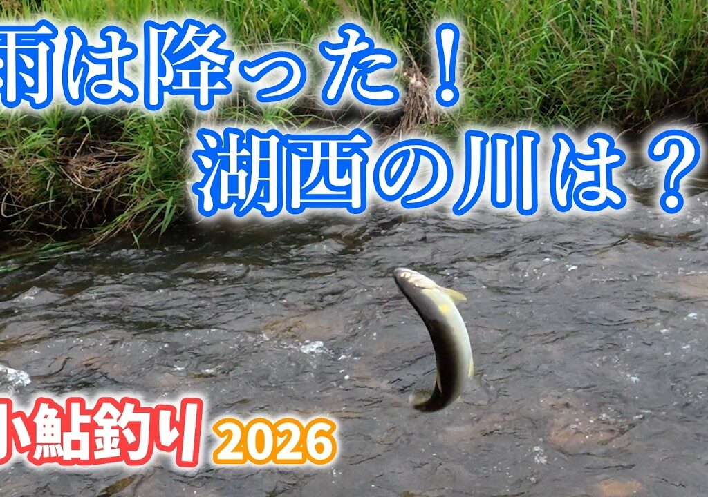 【2026/6/4】台風一過の翌日に湖西と湖北に行ってきた！#小鮎釣り