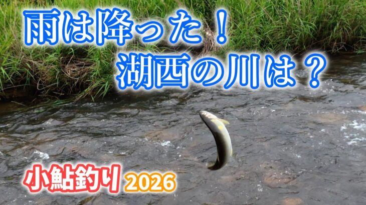 【2026/6/4】台風一過の翌日に湖西と湖北に行ってきた！#小鮎釣り
