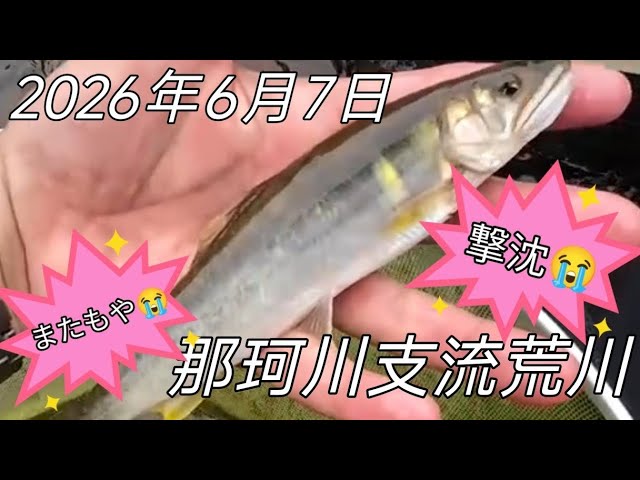 2026年6月7日那珂川支流荒川鮎釣りポイントまたもや撃沈😭