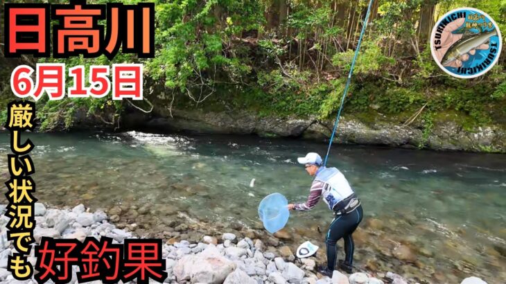 6月は我慢！我慢！我慢の釣り？日高川の最新鮎釣果情報 6/15