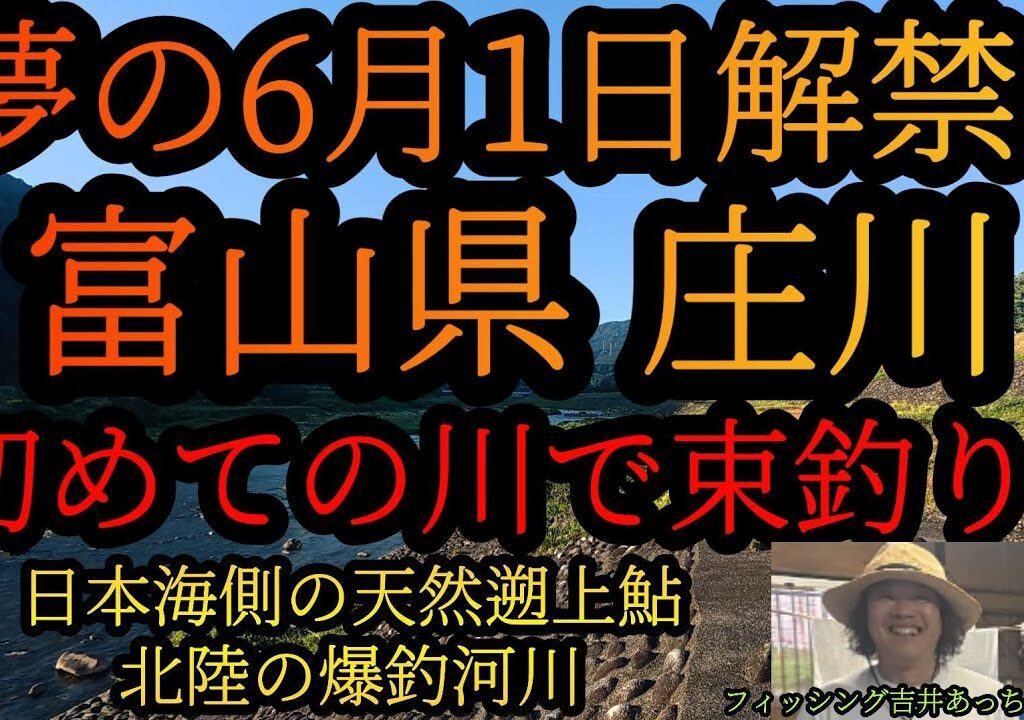 【富山県庄川鮎釣り】夢の6月1日解禁！初めての川で束釣り？