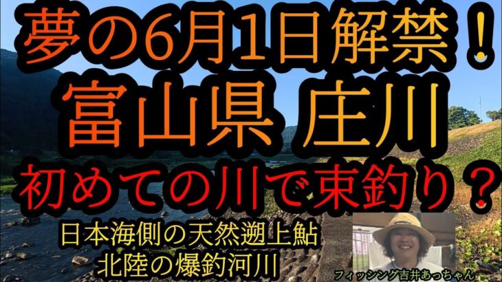 【富山県庄川鮎釣り】夢の6月1日解禁！初めての川で束釣り？