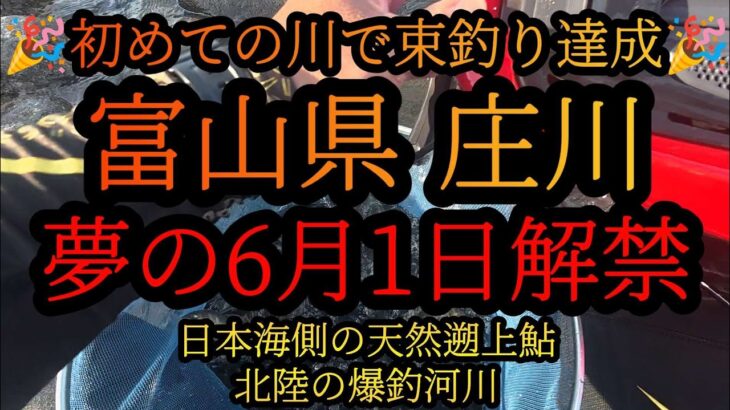 束釣り達成！【富山県庄川】夢の6月1日解禁です。