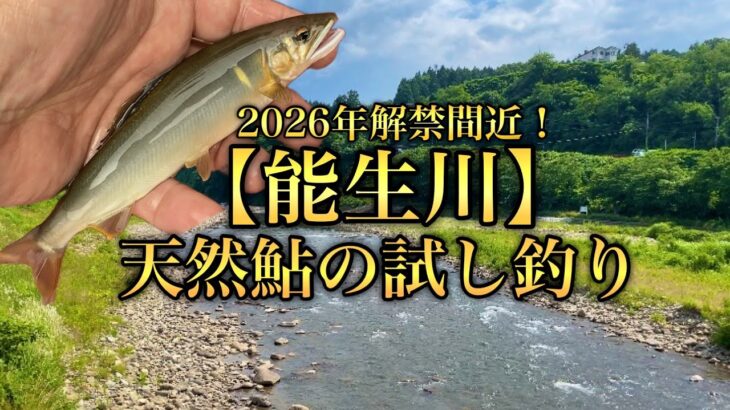 【新潟天然遡上鮎】能生川鮎釣り6月20日解禁！