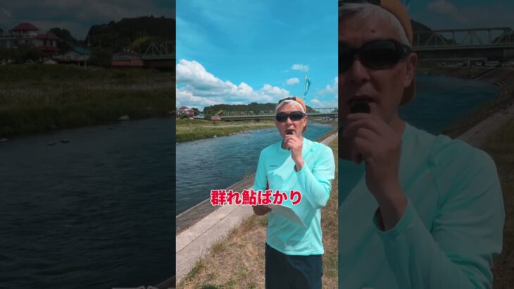 【那珂川 鮎釣り】6/24史上最悪、マジ釣れない気をつけてください #那珂川 #鮎釣り #釣り #箒川