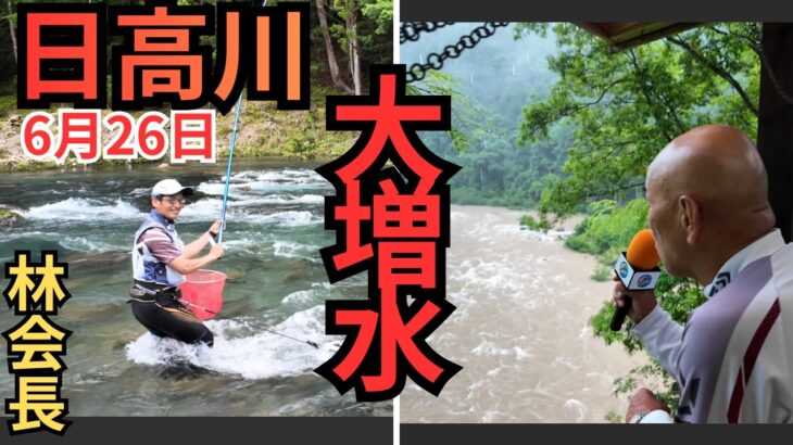 林会長の粘りと我慢！そして大増水の日高川の最新鮎釣果情報 6/26