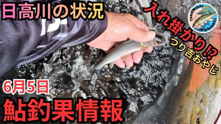 【入れ掛かり】つり吉おやじ絶好調！日高川の最新鮎釣果情報 6/5