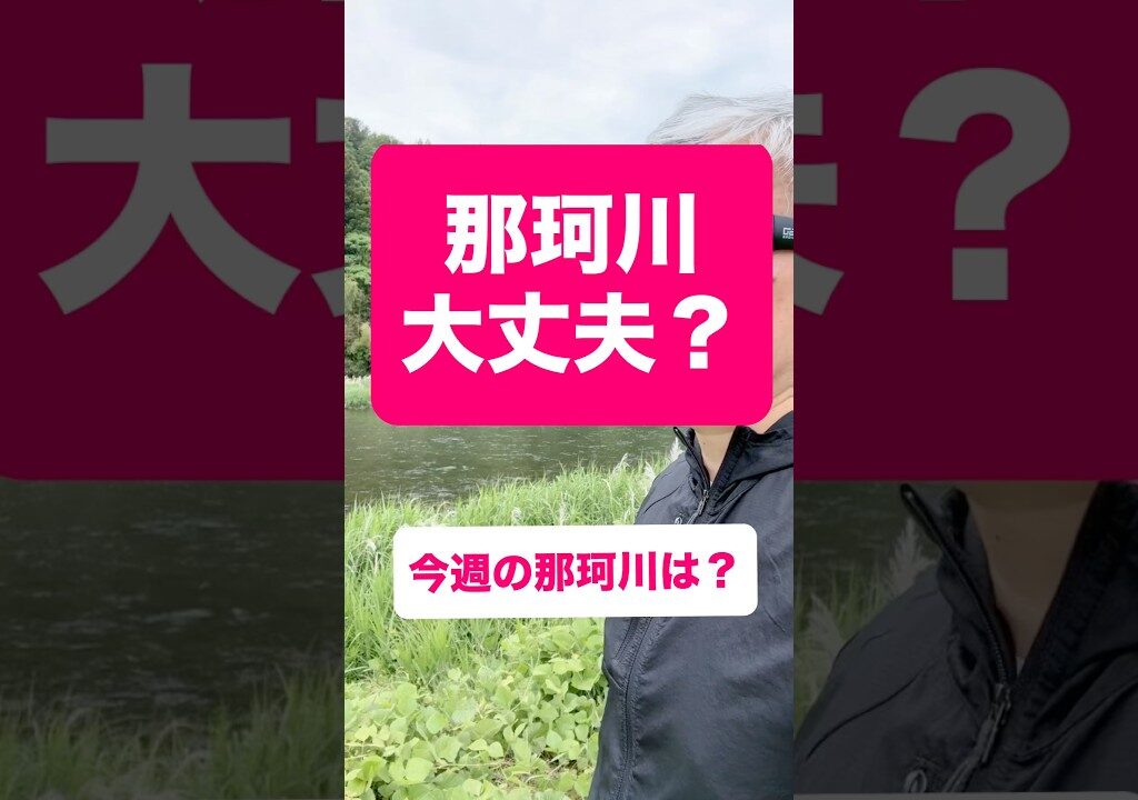 【鮎釣り 那珂川】6/7最低だった解禁から一週間状況は…‼️