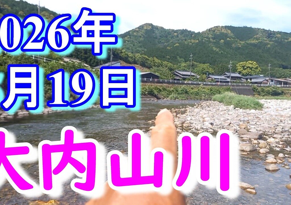 鮎釣り 背がかりDNA鮎を釣る 20㎝渇水 田垣外 大内山川 2026年