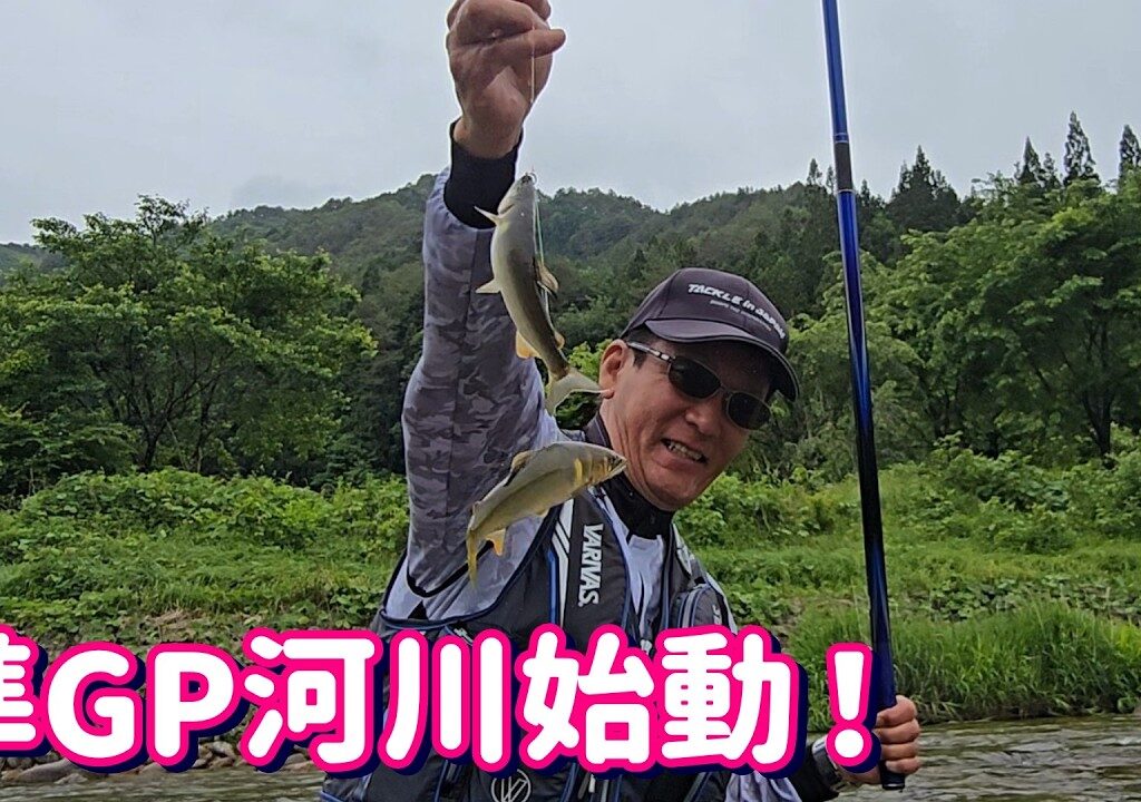 利き鮎準GP河川 成育良好【益田川支流成育調査】湖産＆背掛かりDNA全７河川一挙にどーん！