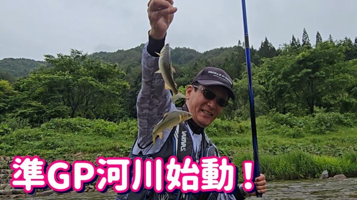 利き鮎準GP河川 成育良好【益田川支流成育調査】湖産＆背掛かりDNA全７河川一挙にどーん！