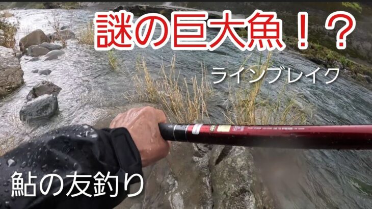 NO4【鮎釣り】豪雨の中で続行した結果…最後に謎の巨大魚が掛かった！2026年6月14日釣行