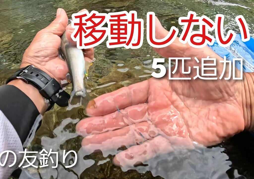 NO7【鮎釣り】諦めて移動する前に試したいこと　2026年6月19日釣行