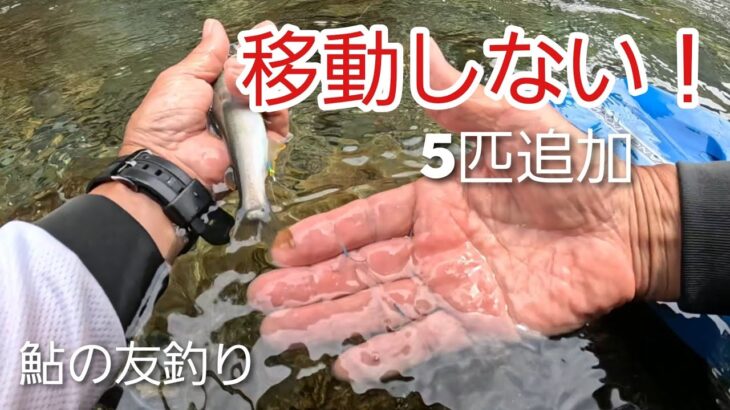 NO7【鮎釣り】諦めて移動する前に試したいこと　2026年6月19日釣行