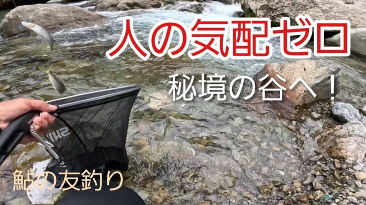 NO9【友釣り】草をかき分けて入川！秘境の谷に鮎はいるのか？　2026年6月22日釣行