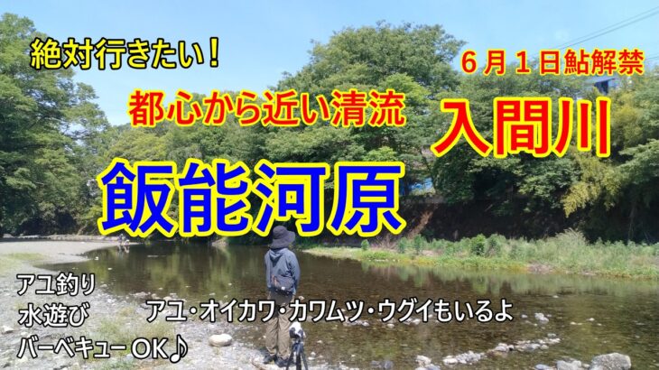 【入間川】【清流釣り】飯能河原は鮎も釣れる、オイカワ、ウグイもいるよ♪特急で池袋から４０分の清流！水遊び、バーベキューOKの最高に楽しい釣りポイント♪