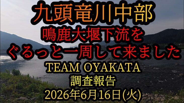 【九頭竜川中部】鳴鹿大堰下流をぐるっと一周して来ました。TEAM OYAKATA調査報告 2026年6月16日(火)