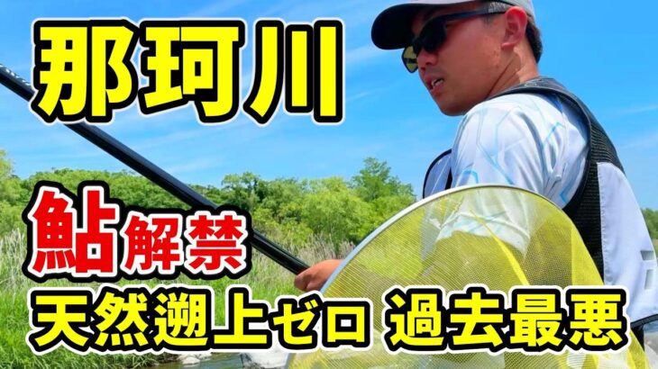 【那珂川 鮎解禁】今年釣れるの？忖度なしの報告！釣り師○○響く…