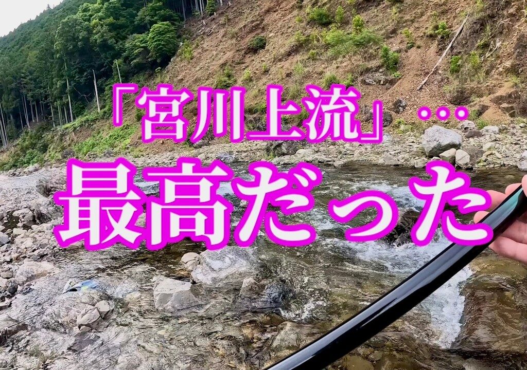 今シーズン初の鮎友釣り。この川、最高だった！