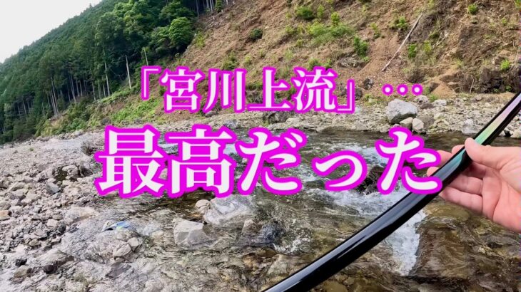 今シーズン初の鮎友釣り。この川、最高だった！