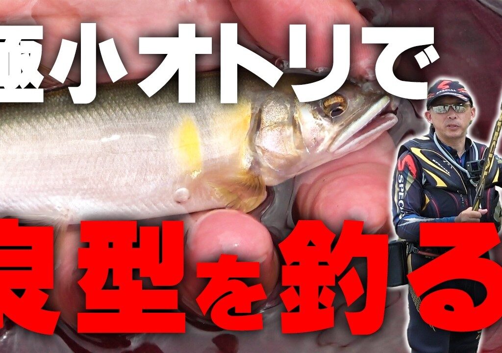 矢作川の極小鮎で良型鮎へわらしべ長者！？【鮎釣り】