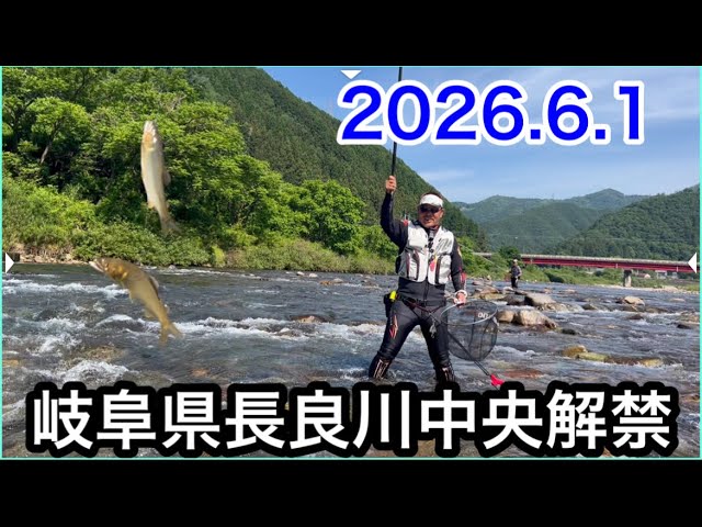 今年の長良川中央はスタートダッシュ成功❓　去年とは一味違う…