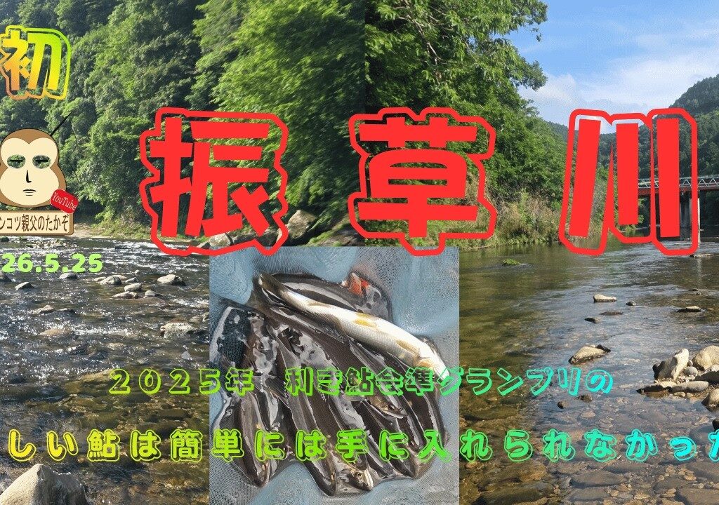 「鮎の友釣り」　美味しい鮎が食べたくて、初めての振草川