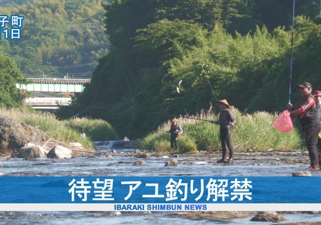 待望アユ釣り解禁  大子・久慈川