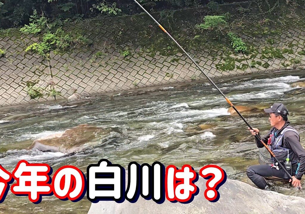【今シーズンを占う】飛騨川漁協管内　白川　成育調査＆小学生友釣り体験