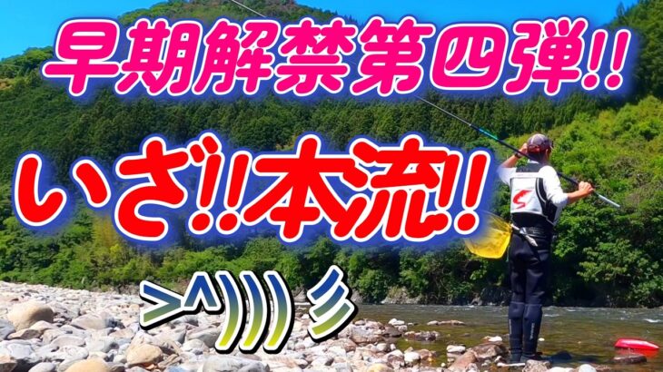 【鮎釣り】そこは狙い目!!　おっちゃん見事に当てる!!