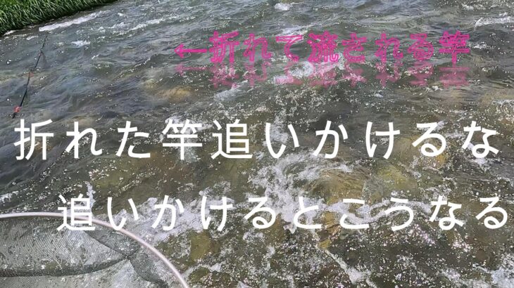 折れた竿追いかけるとこうなる