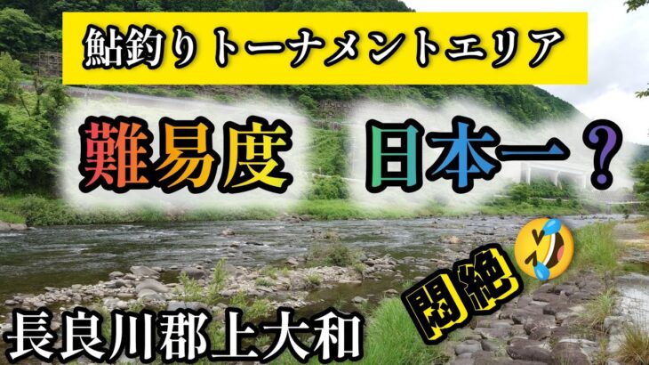 難易度　日本一？鮎釣りトーナメントエリア　長良川郡上大和　悶絶⁉️