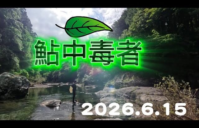 【鮎釣り】深刻な状況の尾川川！！後輩が仙人モード全開だってばよ
