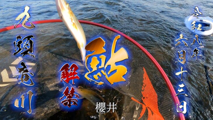九頭竜川中部鮎解禁日