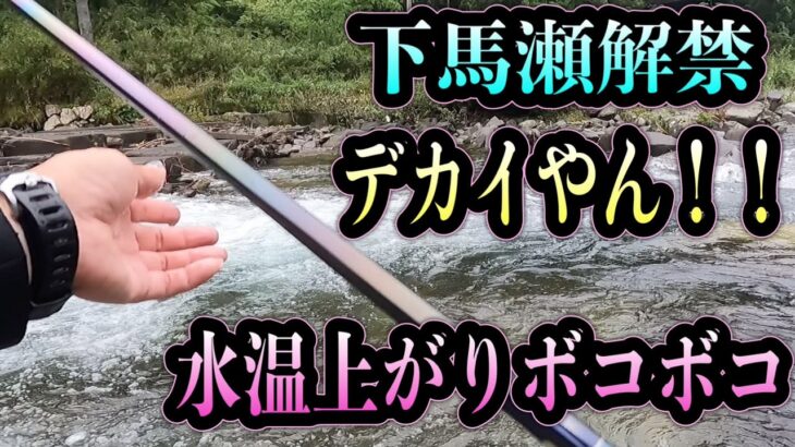 下馬瀬解禁。デカイ！午後から水温上がり猛烈な入れ掛かり