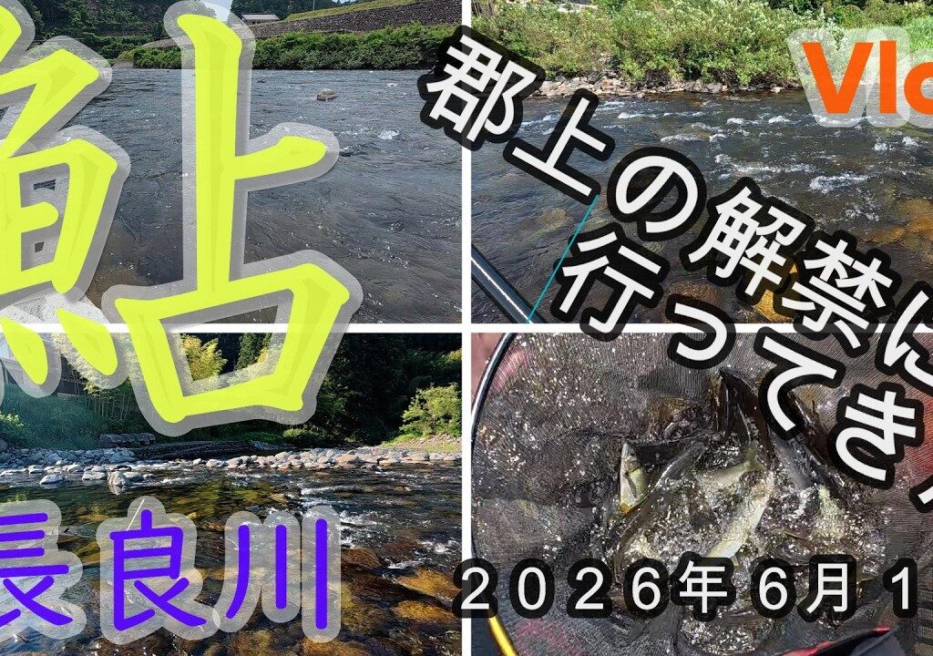 【長良川】郡上の解禁に行ってきた　２０２６・６・１