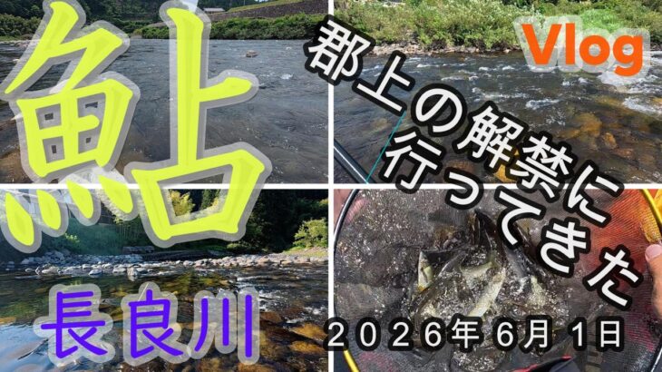 【長良川】郡上の解禁に行ってきた　２０２６・６・１