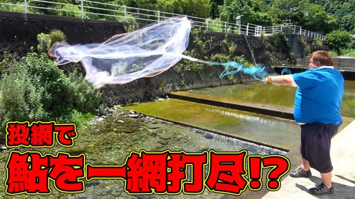 群れでたまっている天然アユを投網で狙ってみたら！？